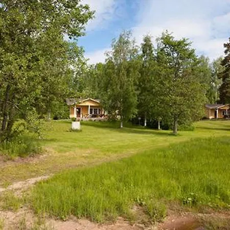 Keltavuokko By Interhome