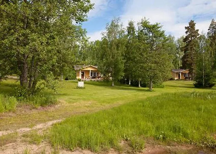 Keltavuokko By Interhome